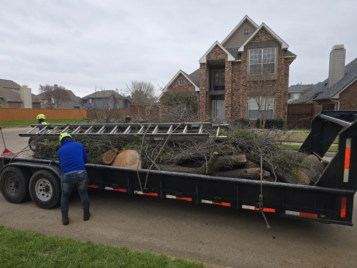 Expert Tree Pest Control with proper safety equipment in Opolis